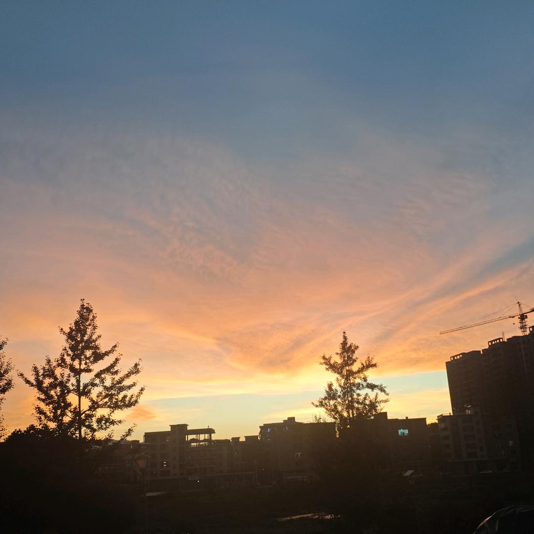 阳光开朗自信活泼可爱帅气有钱懒羊羊