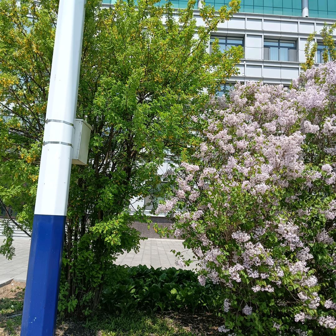 助力号:直播号主页（首播上午9点40分）