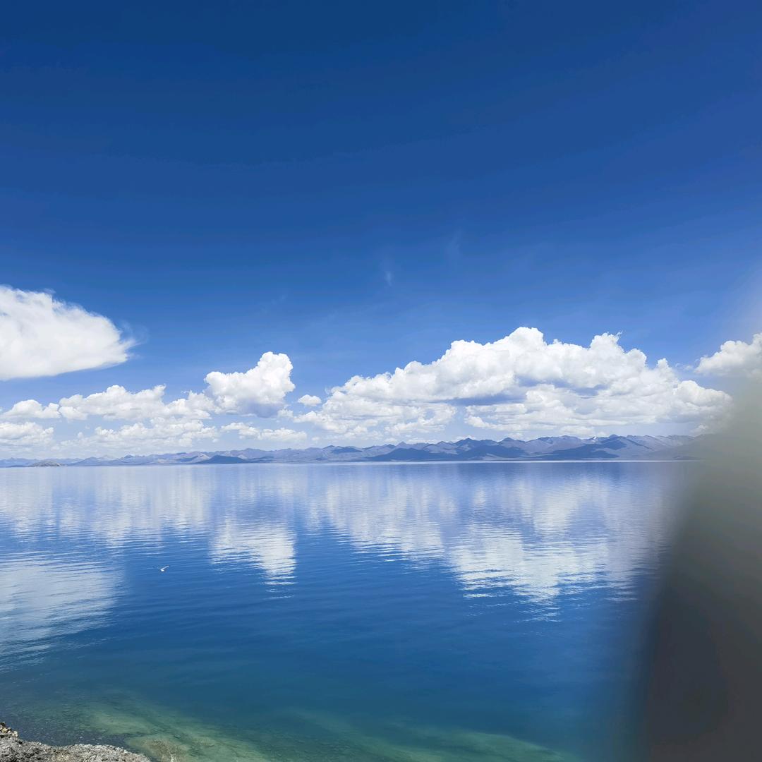 柿事如意(*^ω^*)