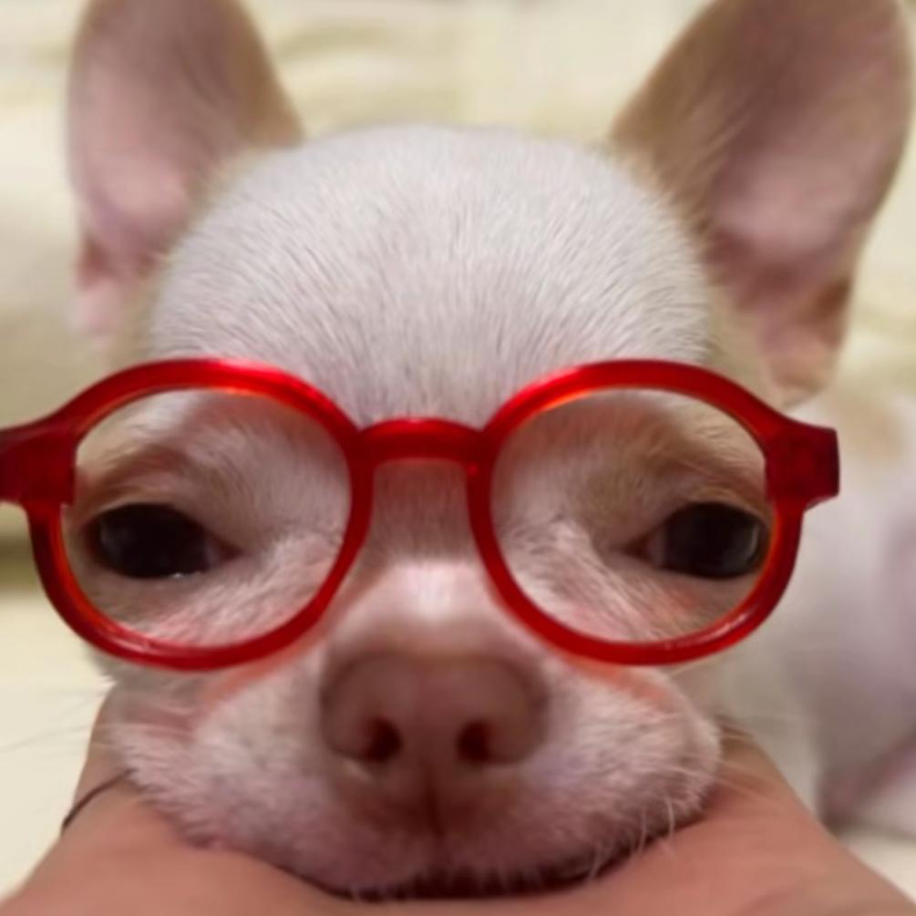 ✧水果宾治武士✧.