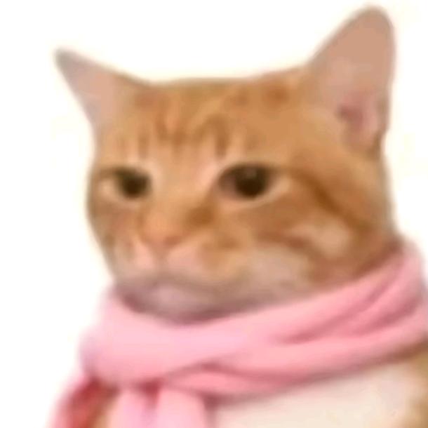 哈基卡