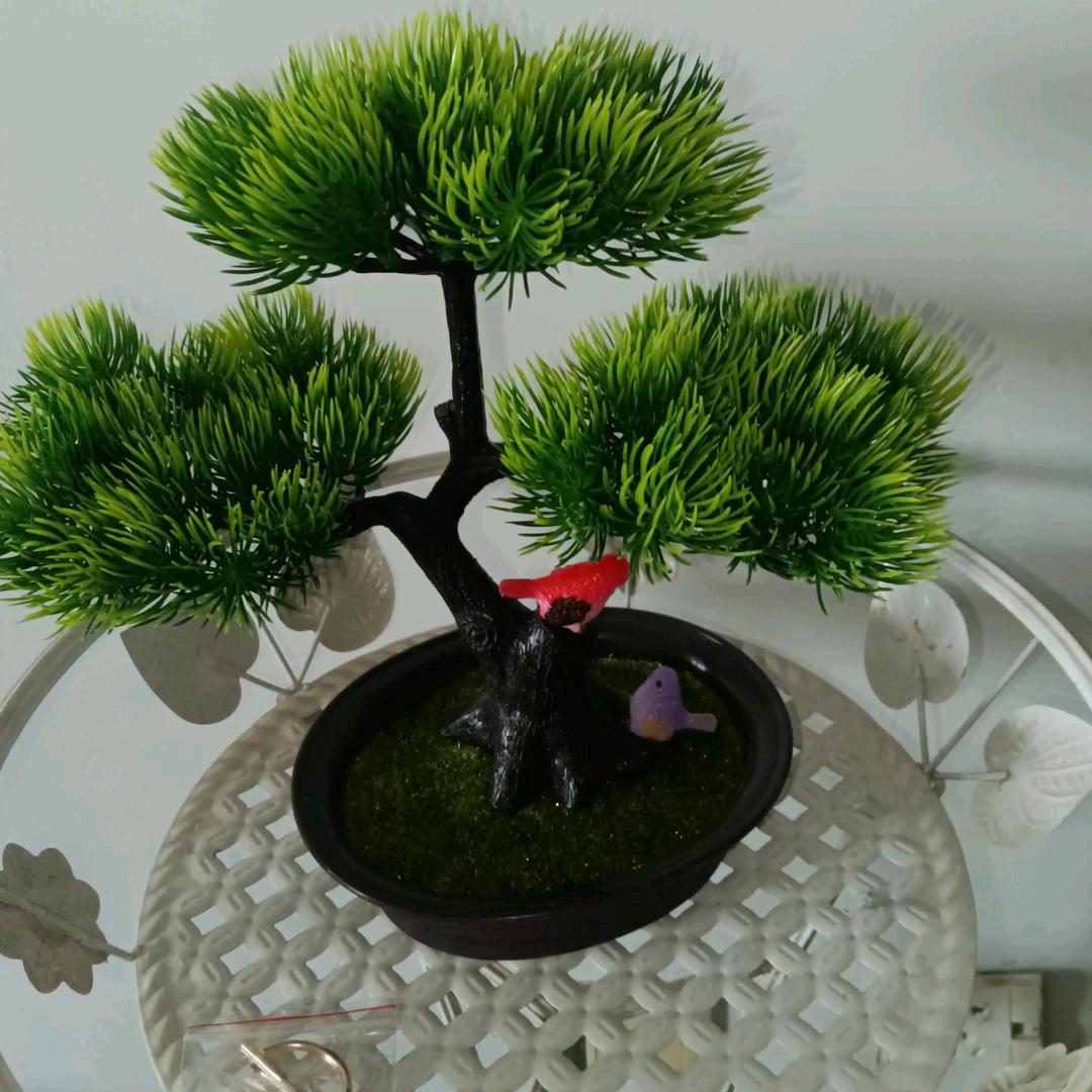 开心快乐每一天