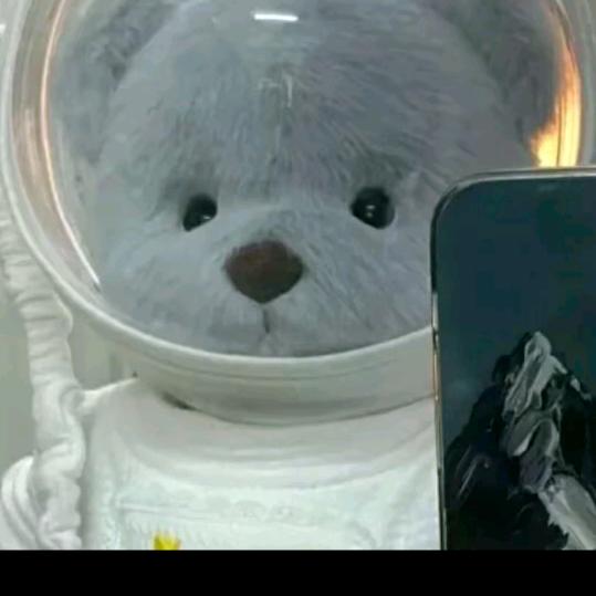不会飞