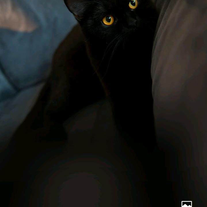 日落时ᵏⁱˢˢ追梦人