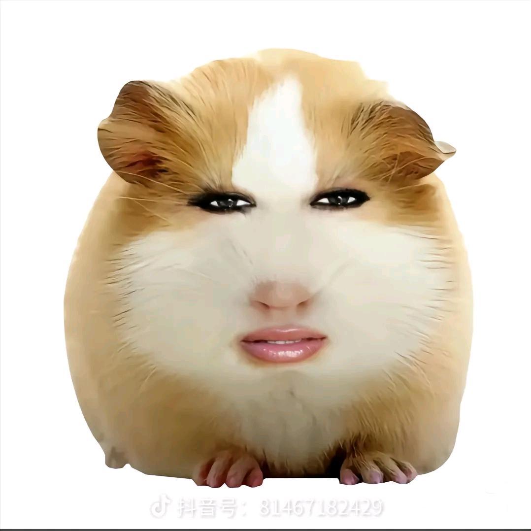 嗯，对猪妞爱吃火鸡面