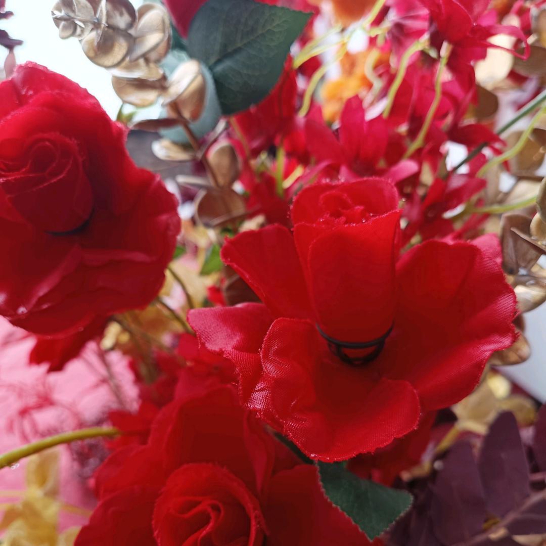🌹((❤️改名❤️))🌹