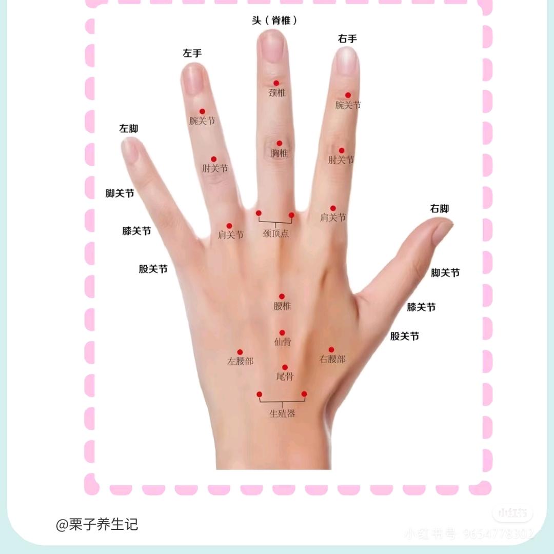 云师董针