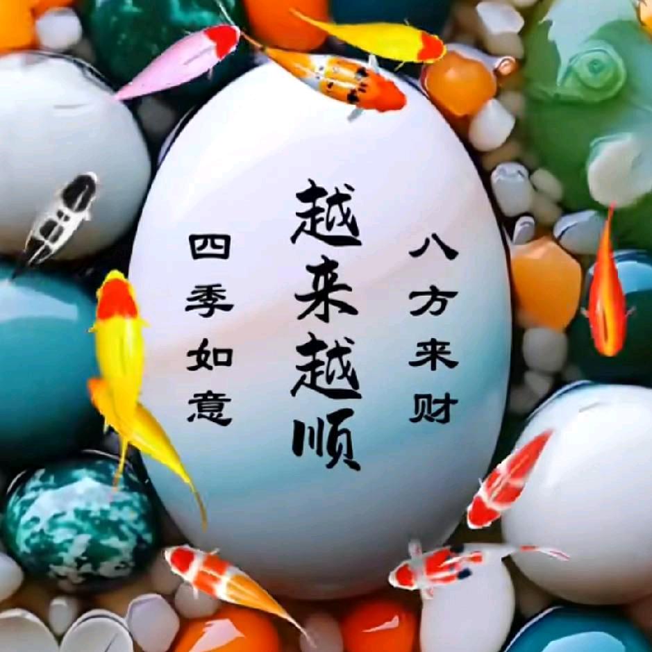 杨哥，不忘初心一