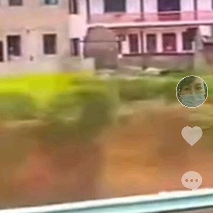 张馨