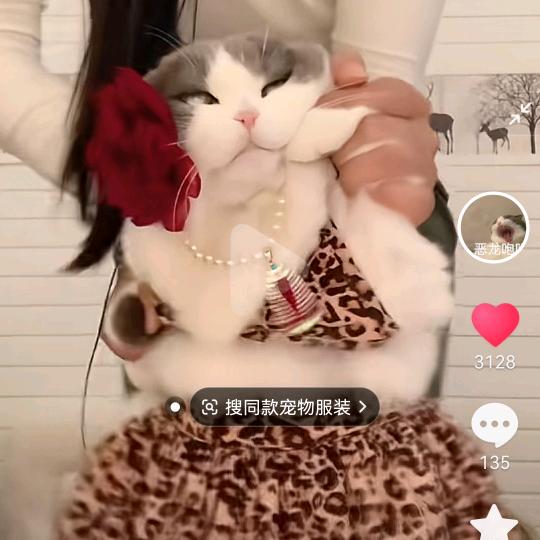 执子之手