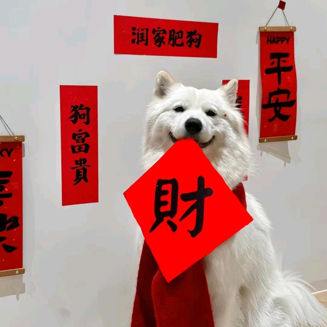 中北阿袁