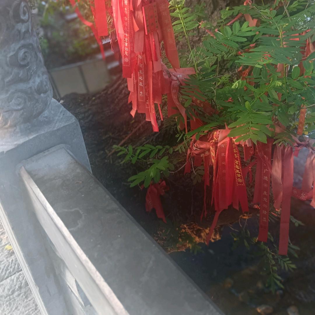心想事成
