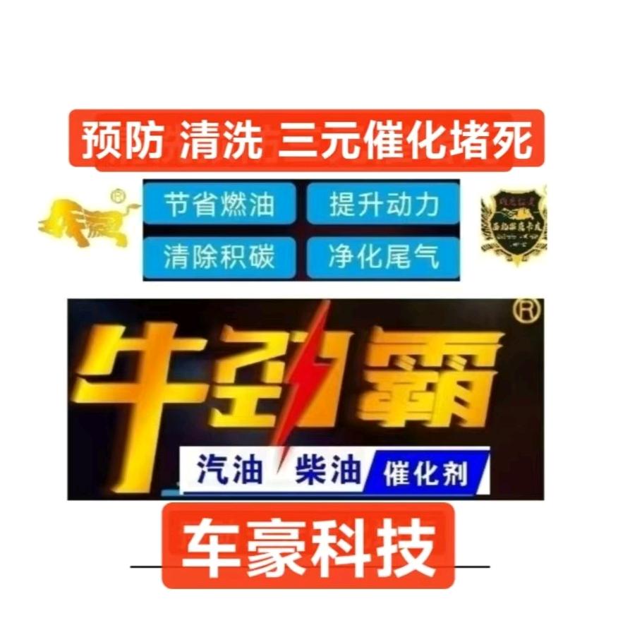 牛劲霸催化剂西北雄鹰车友会