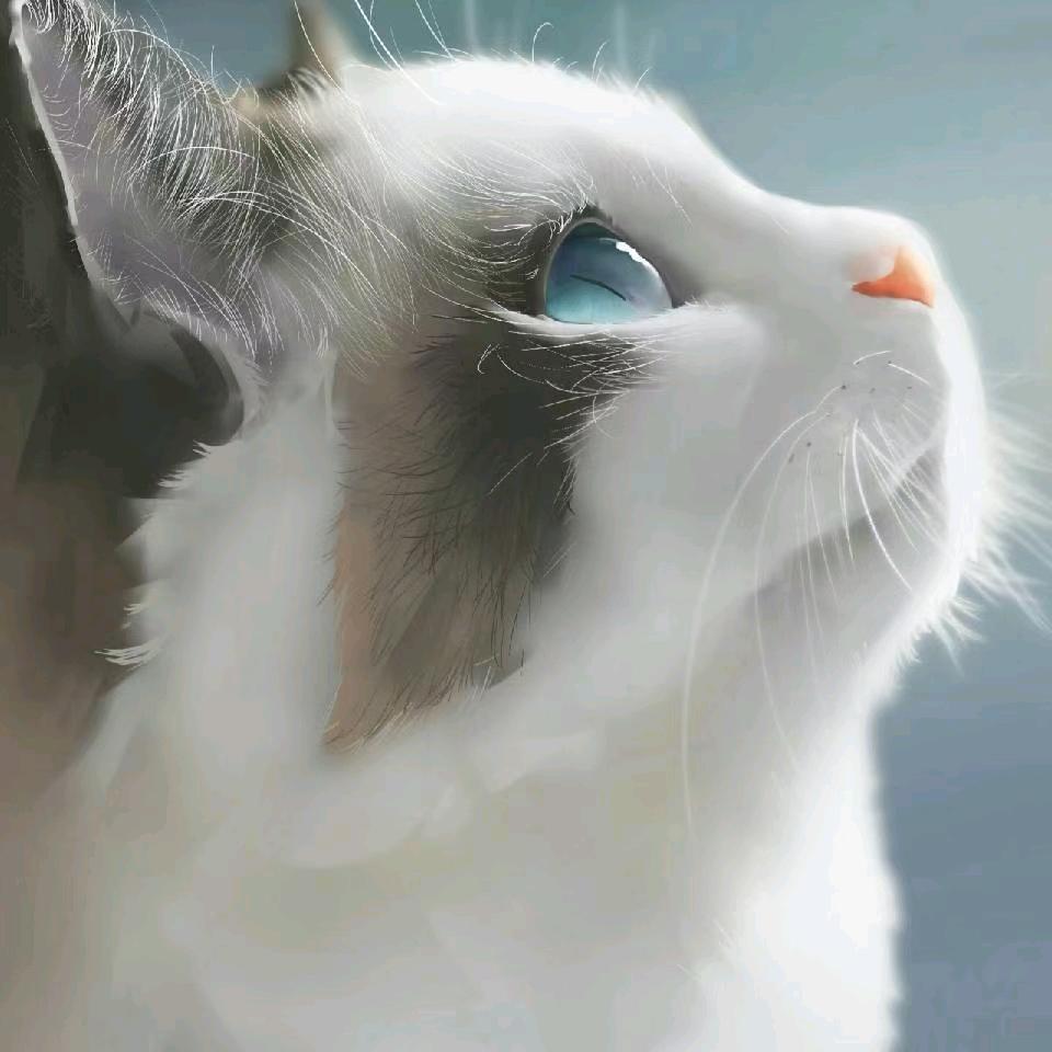 清逸