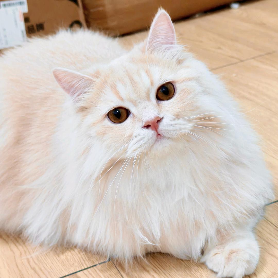 颖啊颖