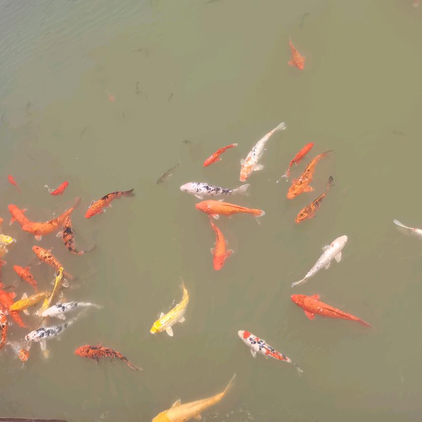 没事儿逛逛啊☕️🎀🎁