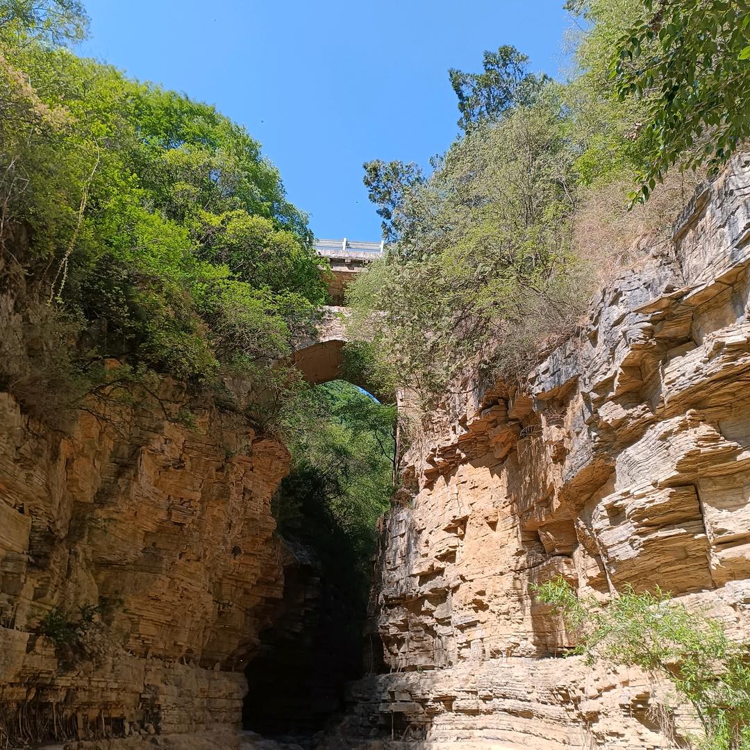 将心比心    🐷