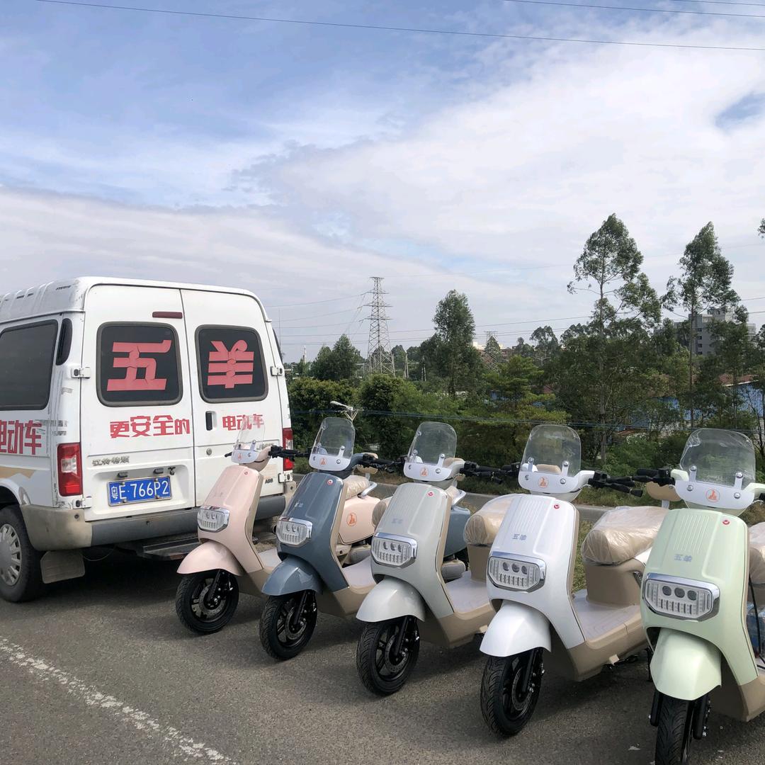 五羊两轮电动车（爱民）