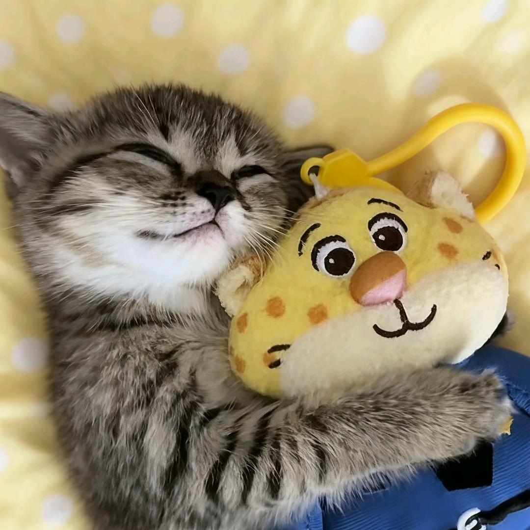 困困困困困困困困困困困的虫微💤⁶¹