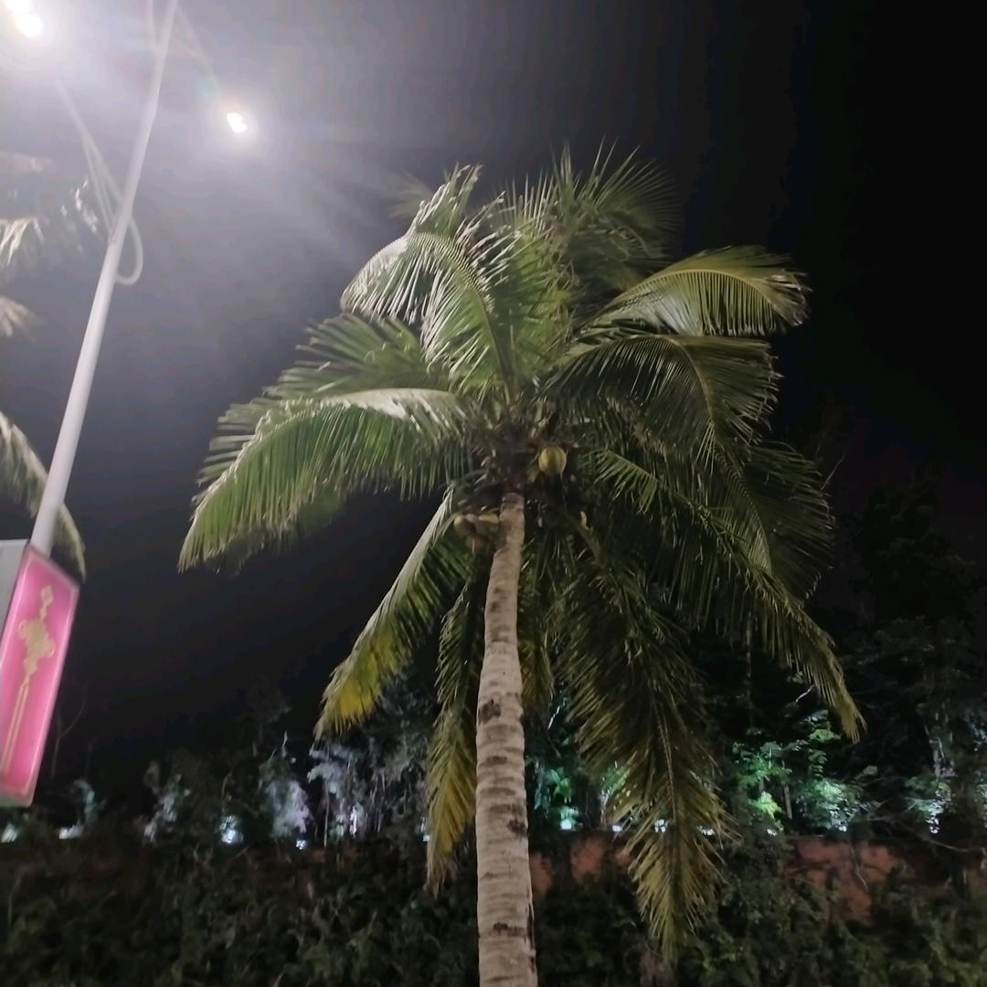 @🕊前程似锦ℒℴѵℯ·¹³¹⁴（互关）