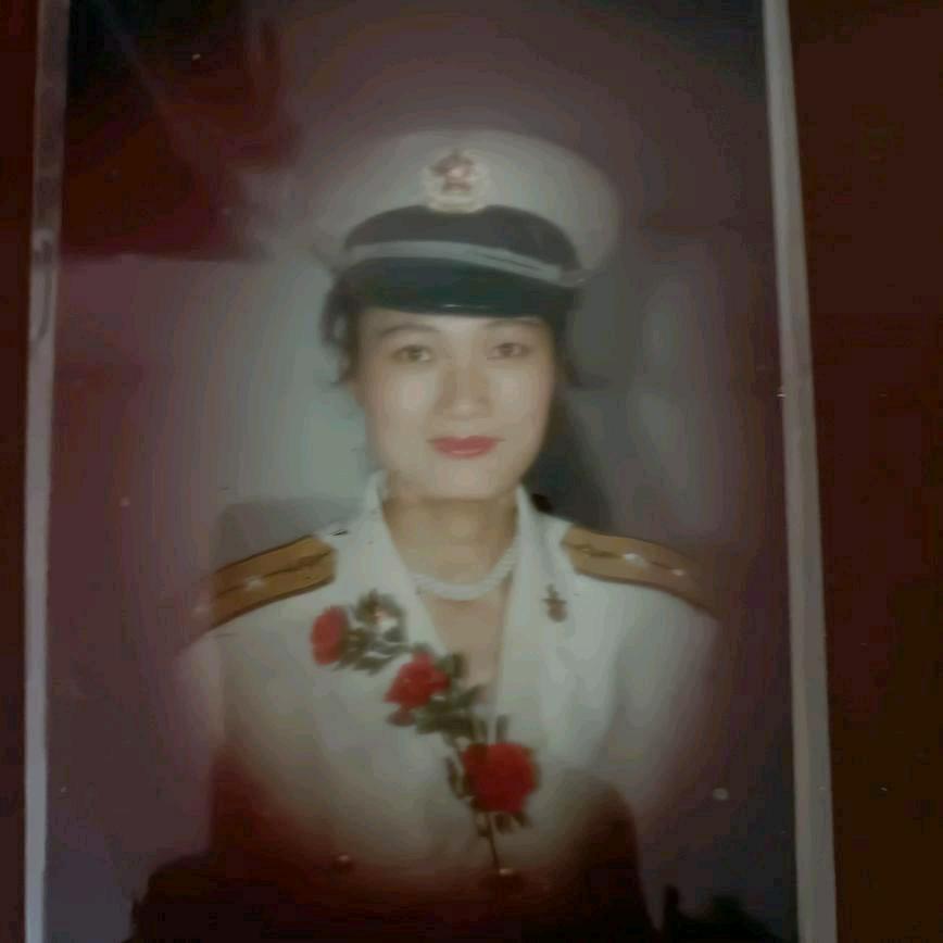 大森林全屋定制