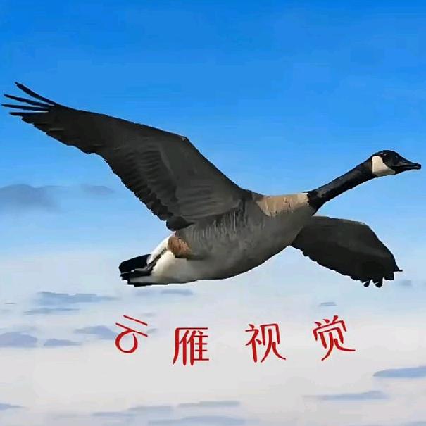 云中雁