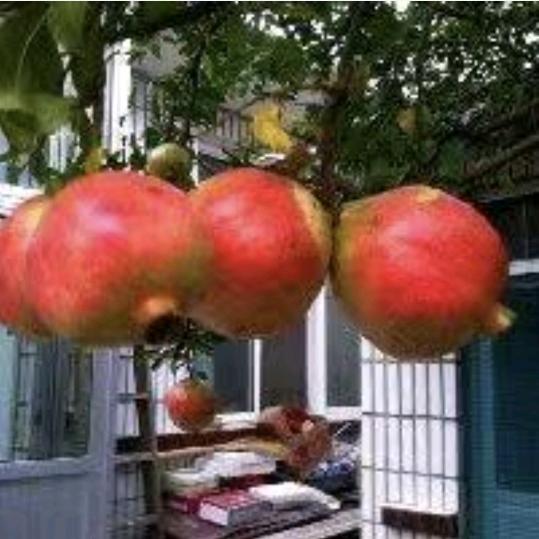 水清风凉
