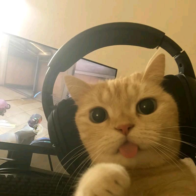 快剪