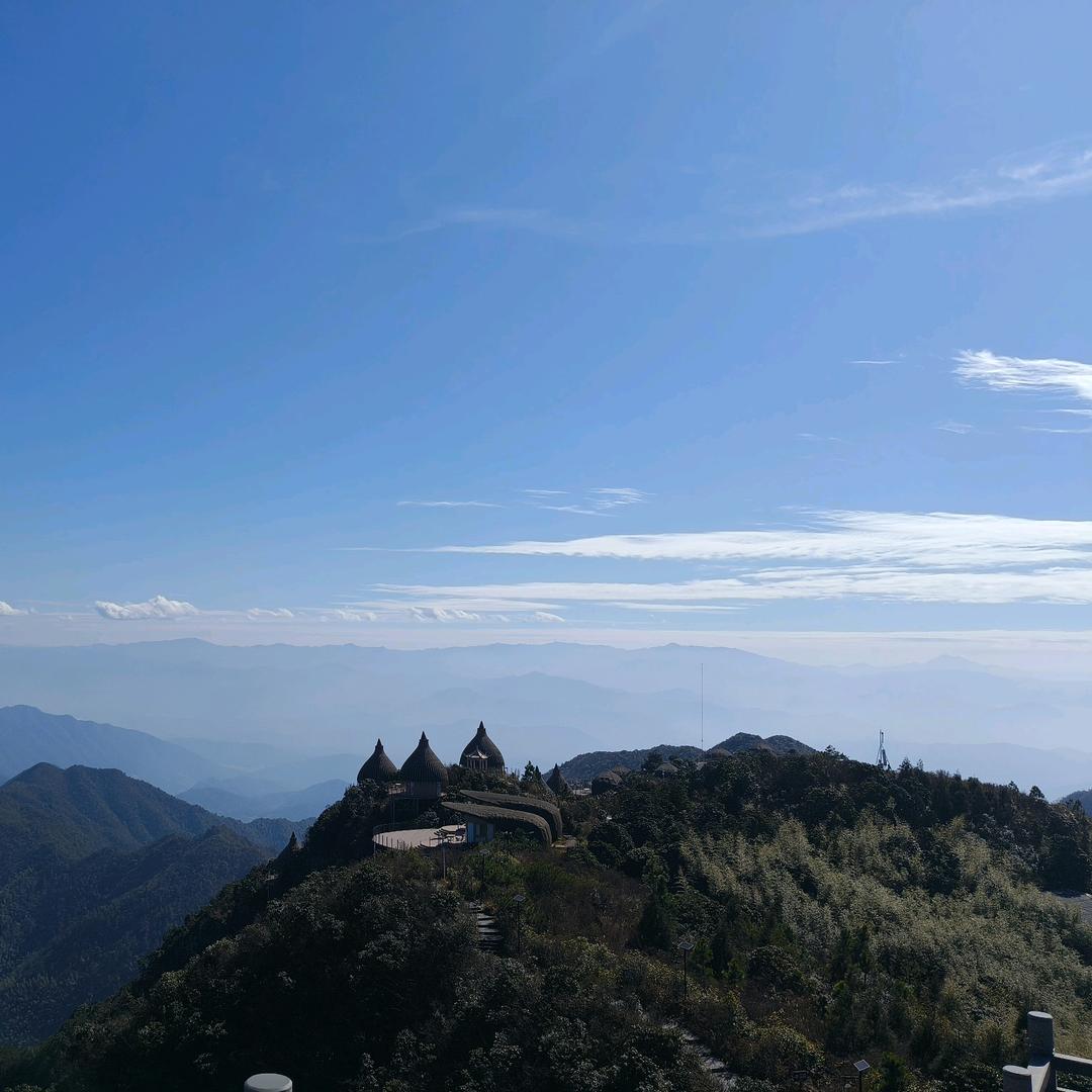 小阳