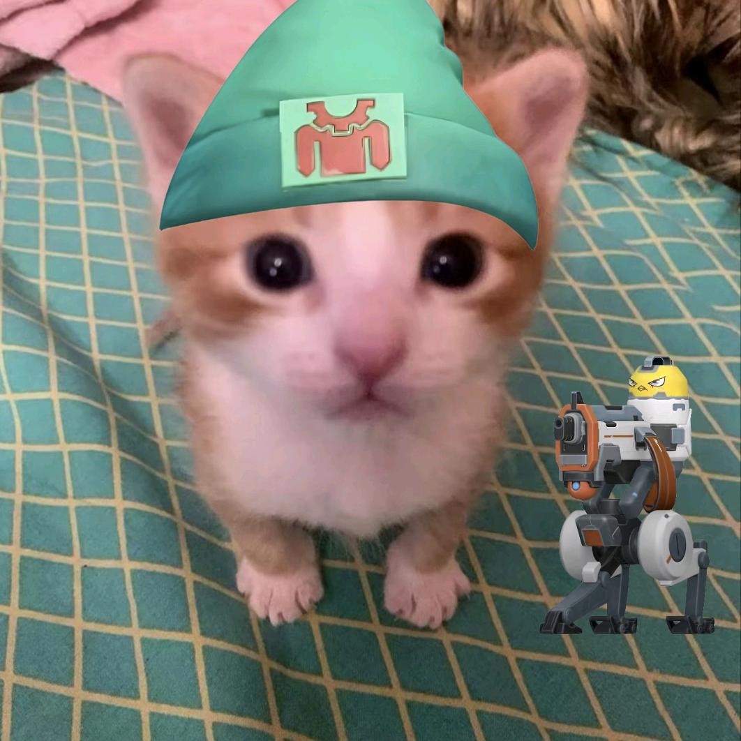 番茄吵蛋