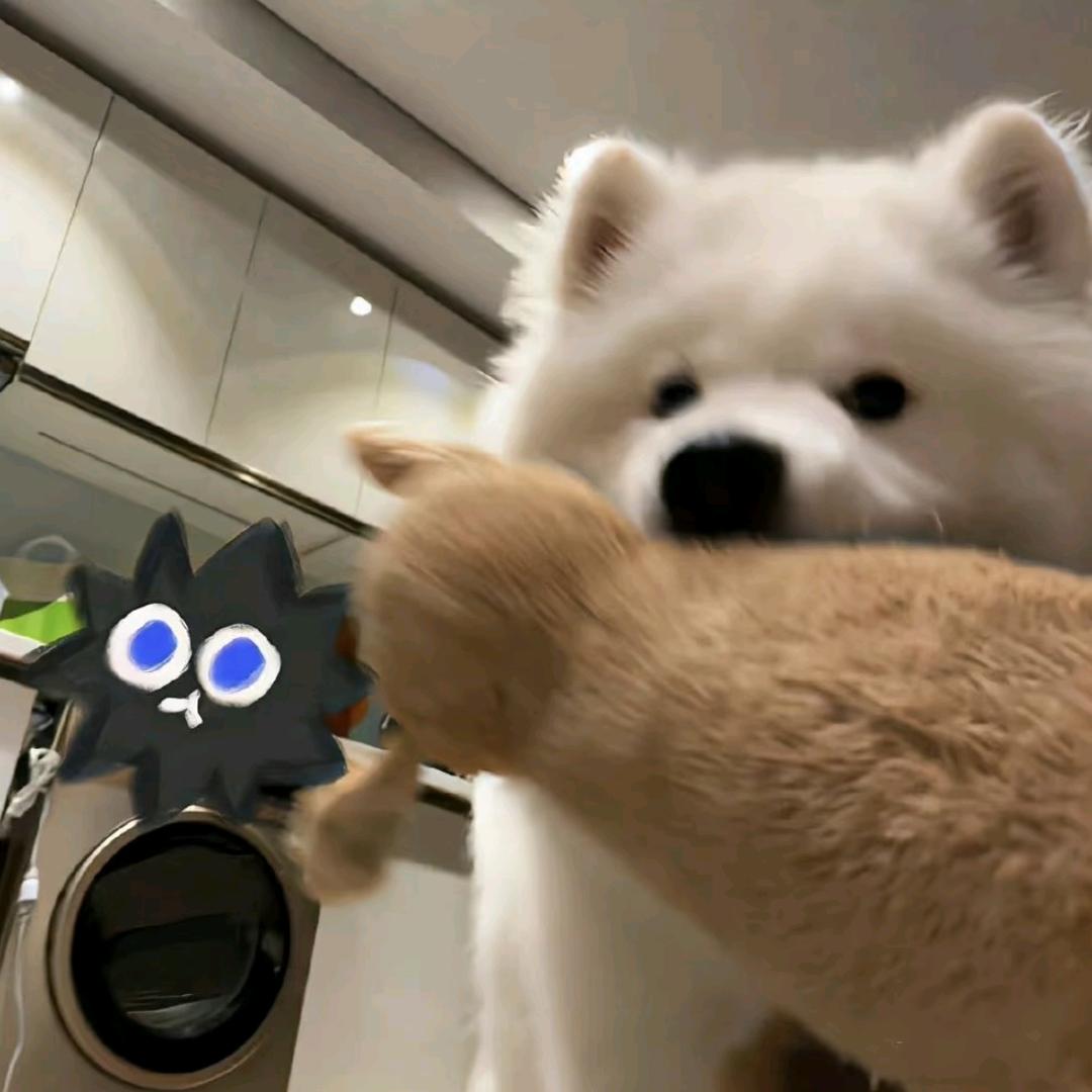 困