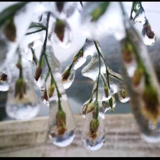 冰雪