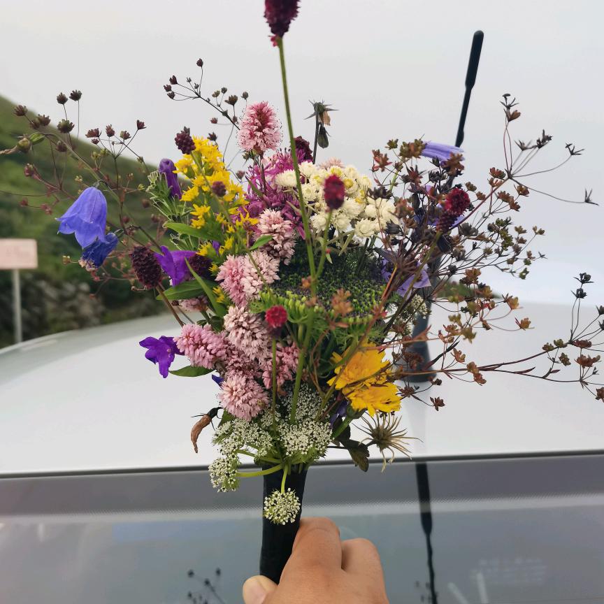 让我在看你一眼