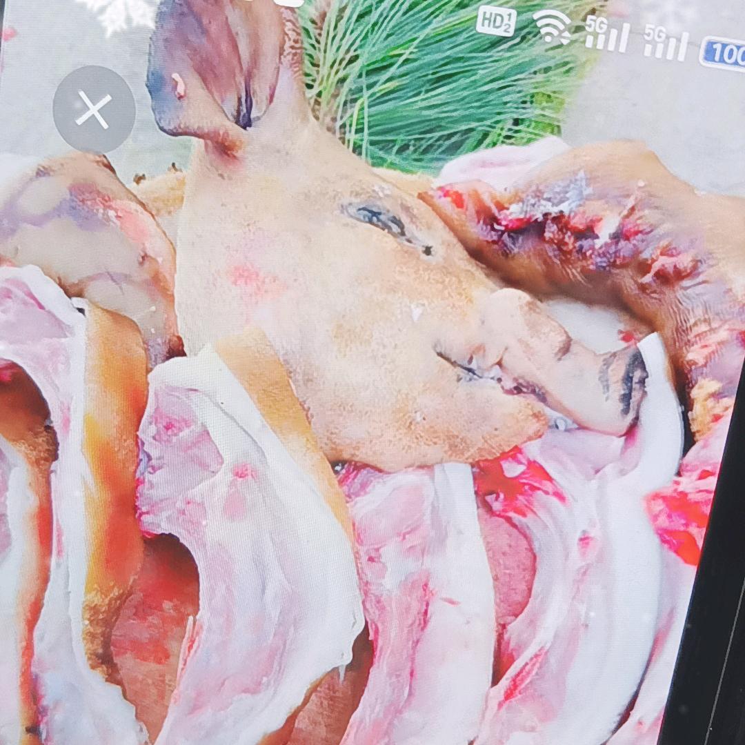 大凉山的小黑🐷