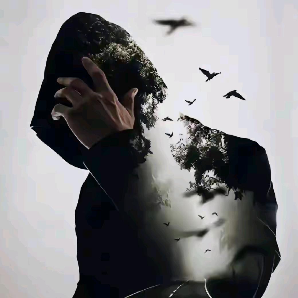 来自时间的遮掩