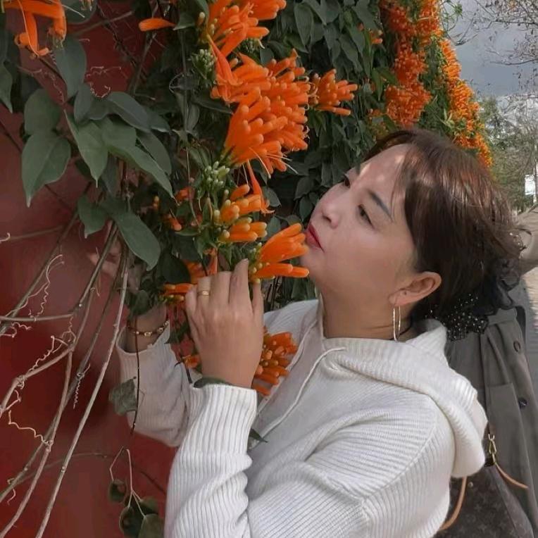 缘来如此