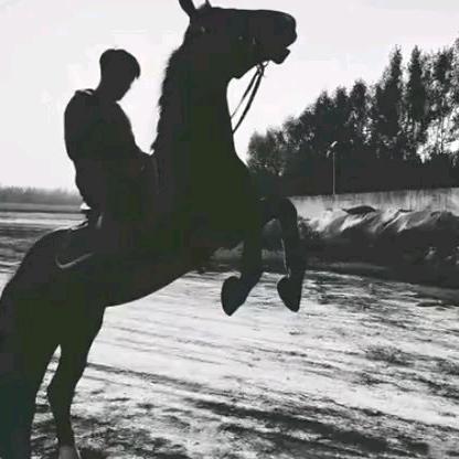 ￴ ￴ ￴ ￴￴