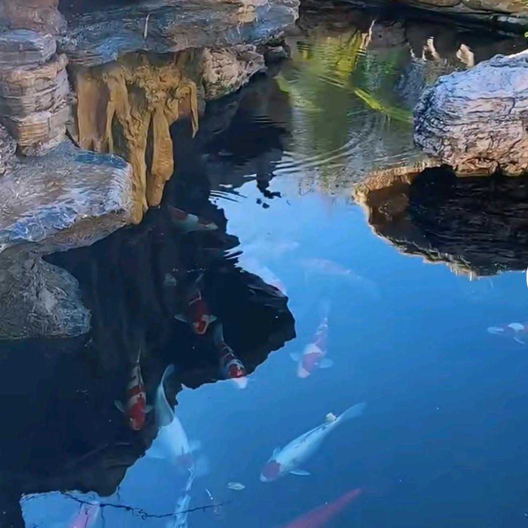 ಢ᭄笑看ල᭄余生ಢ