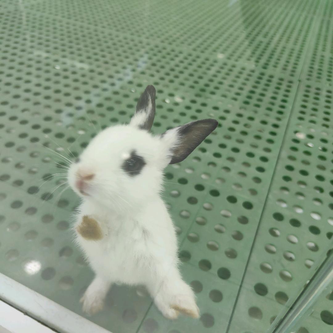 @改变*