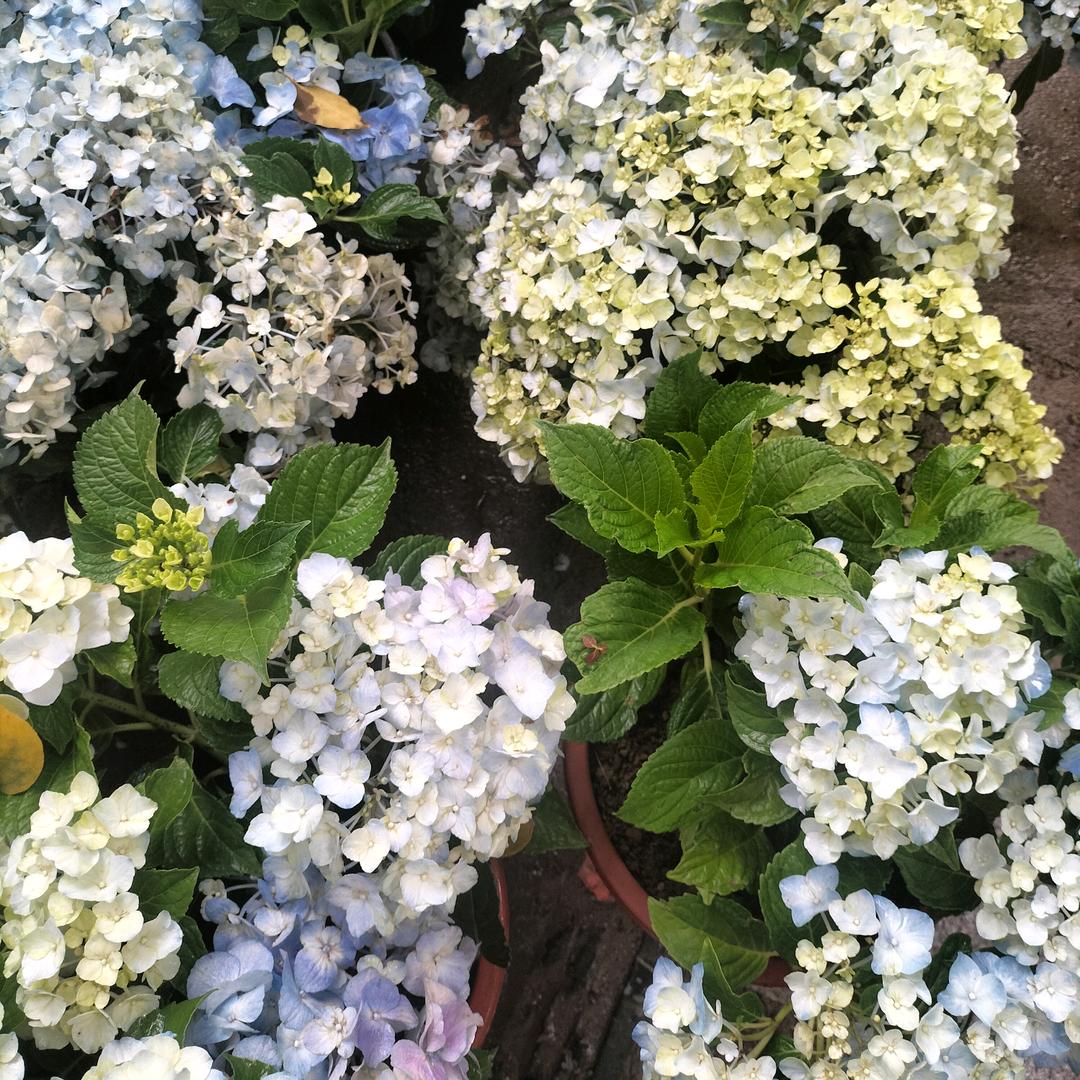 @晨晨
