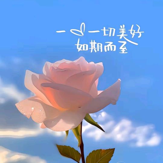 贝嘟