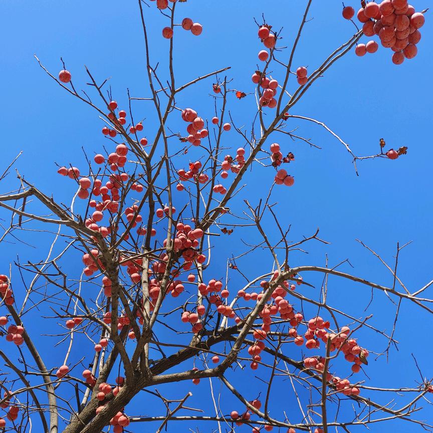 人之初，性本善