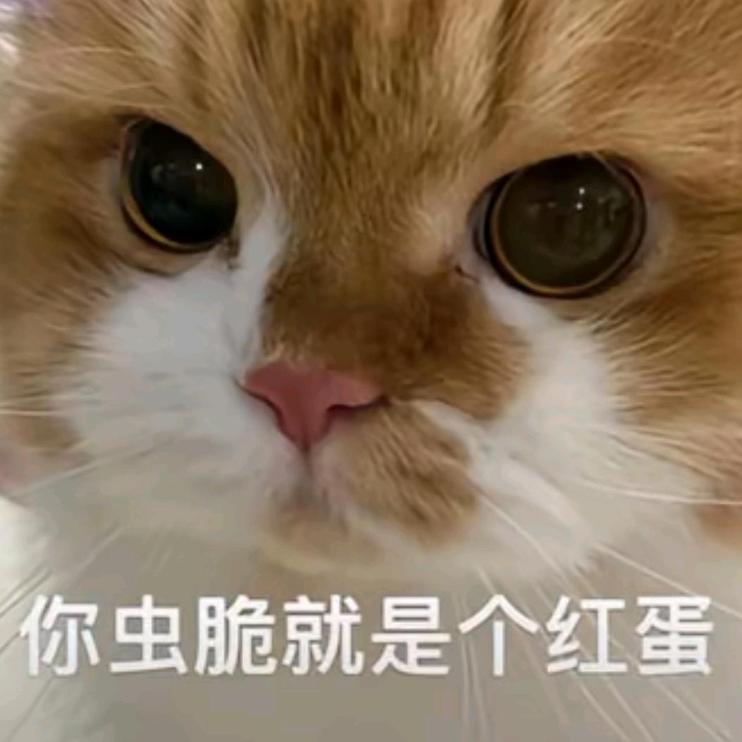 人类荣光