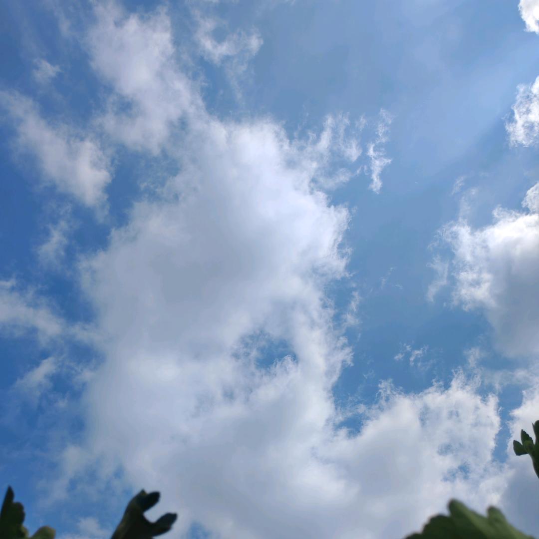 💫   ☘︎ ݁˖꙳ 念安