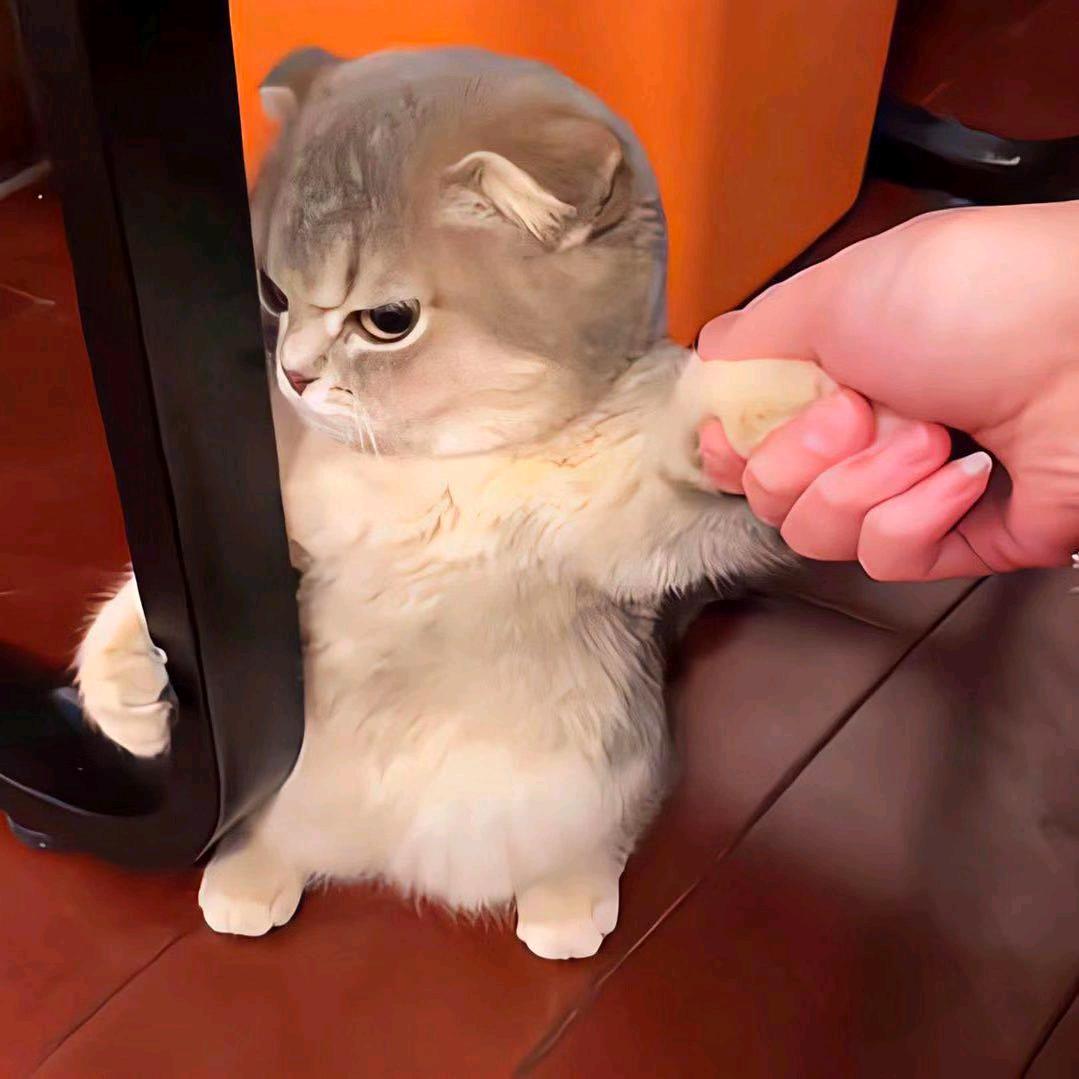 I ꪑꫀꫀｔꪗꪮꪊ