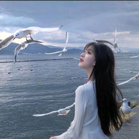 你若安好便是晴天