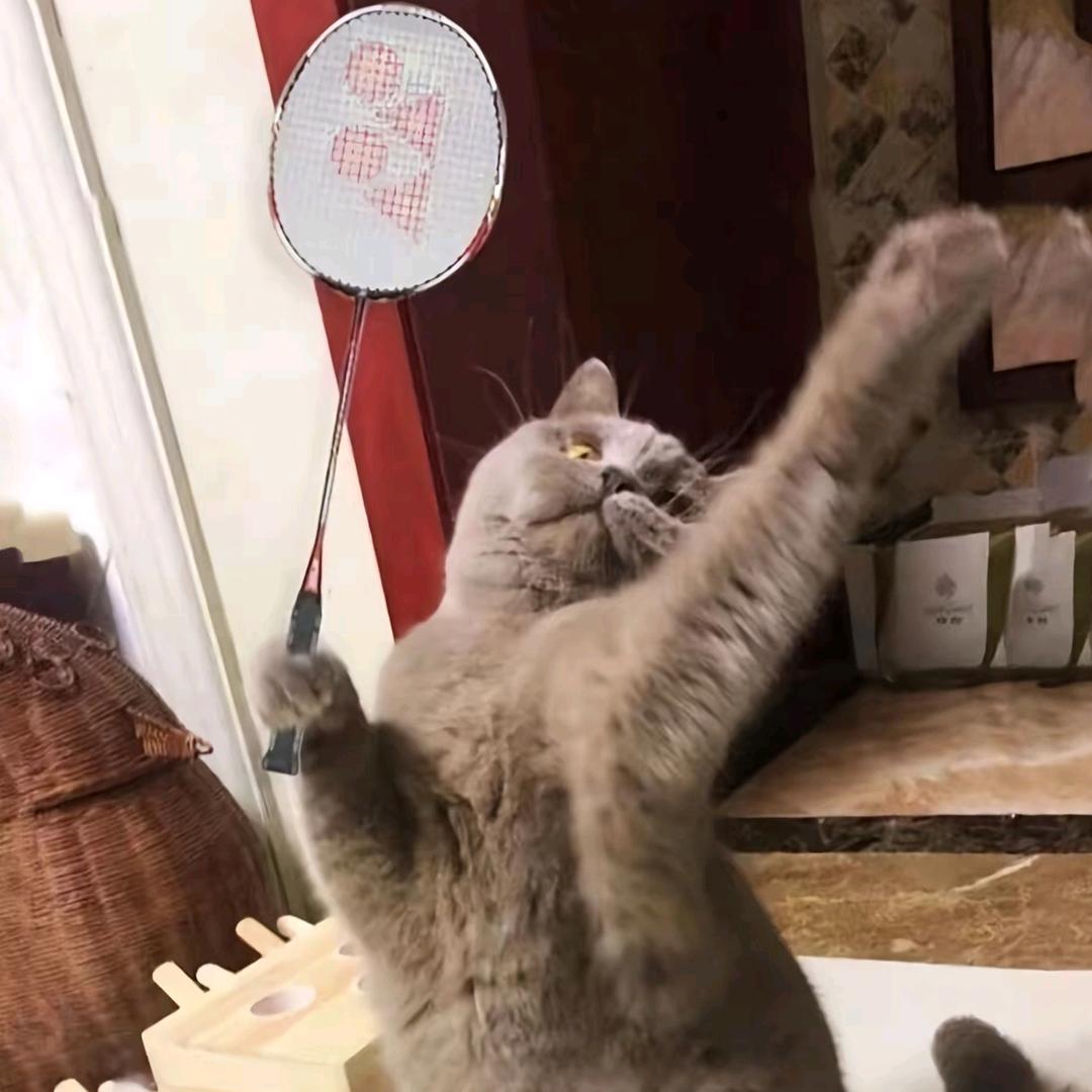 小m不会杀球🏸