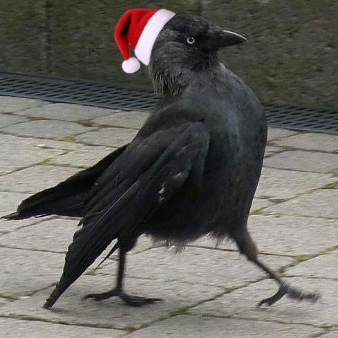 Dohring（东方树叶版）