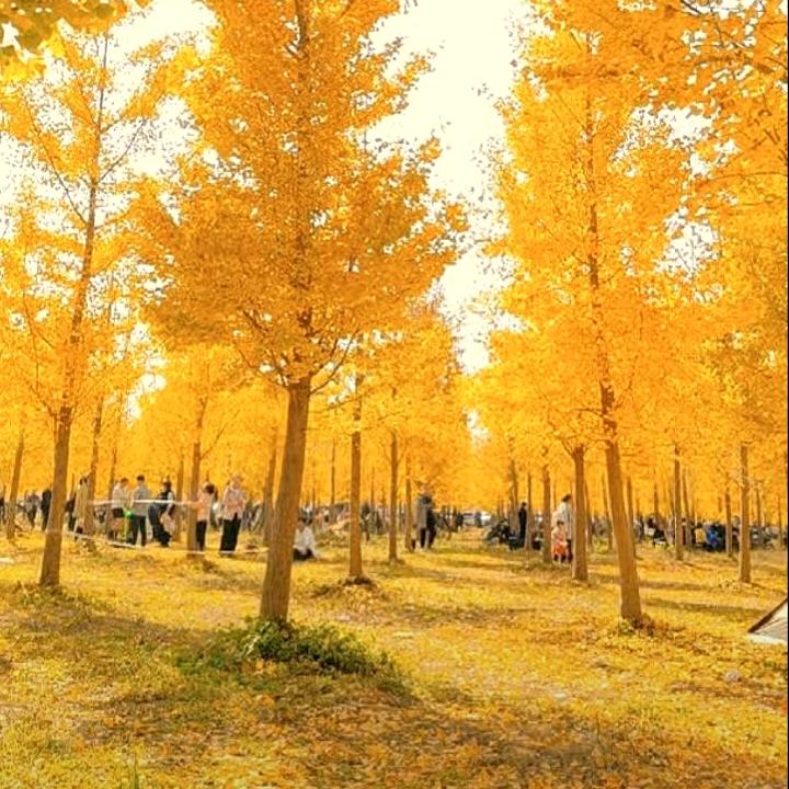 乄夵💞࿐🦋ꦿ᭄໊🕊