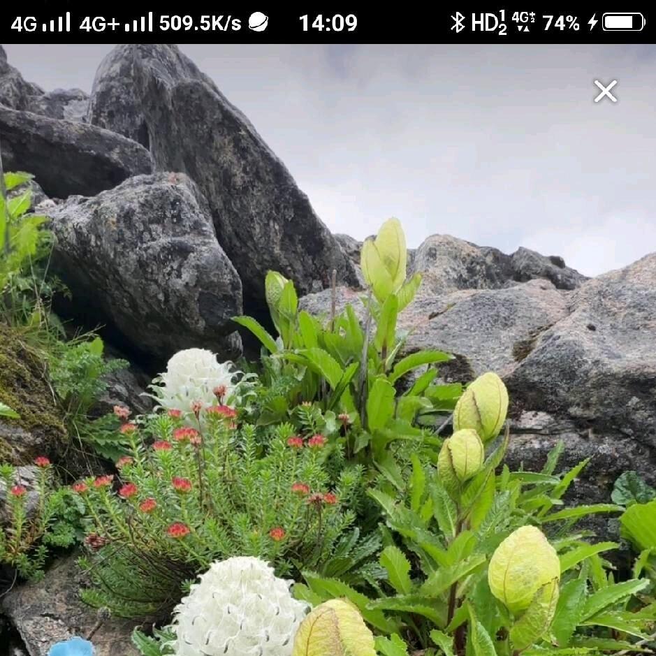 一路彩虹🌈